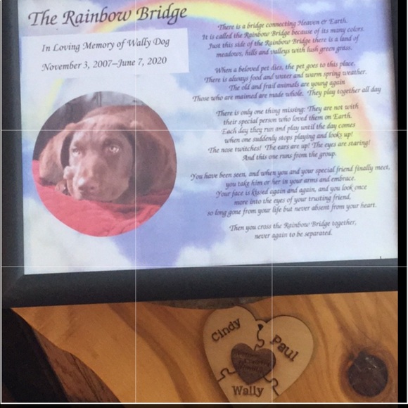 LEATHER BOMBER Motorcycle Jacket BLAC Gypsy UniSex - Picture 8 of 16